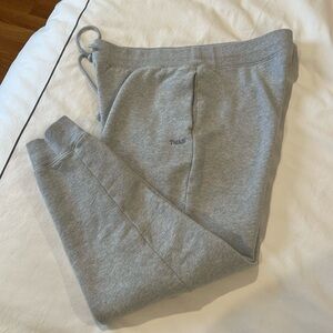 Aritzia jogger